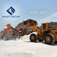 Industrial Salt Exporter in UAE